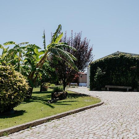 Casa Dos Meus Avos -Villas - Gaia & Porto ヴィラ・ノヴァ・デ・ガイア エクステリア 写真