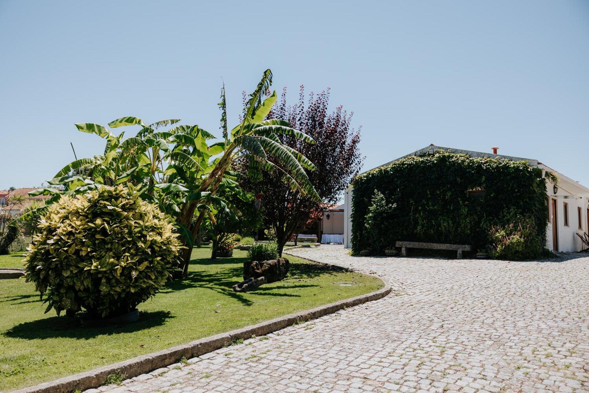 Casa Dos Meus Avos -Villas - Gaia & Porto ヴィラ・ノヴァ・デ・ガイア エクステリア 写真